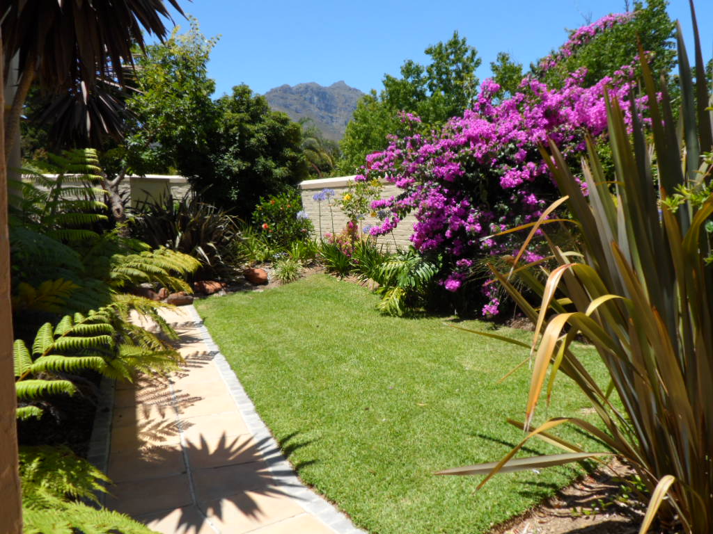 House Bulida garden